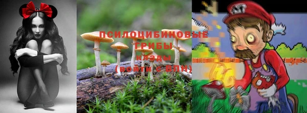 Альфа ПВП Алексеевка